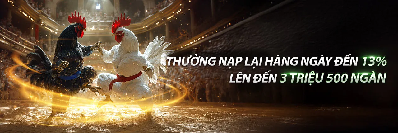 Hình ảnh đại diện Điều khoản dịch vụ 44win55 chính thức