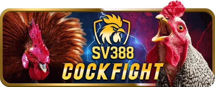 Chọn nhà cái đá gà uy tín như 44win55